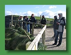 Connemara (357)